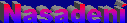 NasadeniV.gif (1263 bytes)