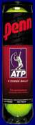 penn_atp.jpg (2811 bytes)